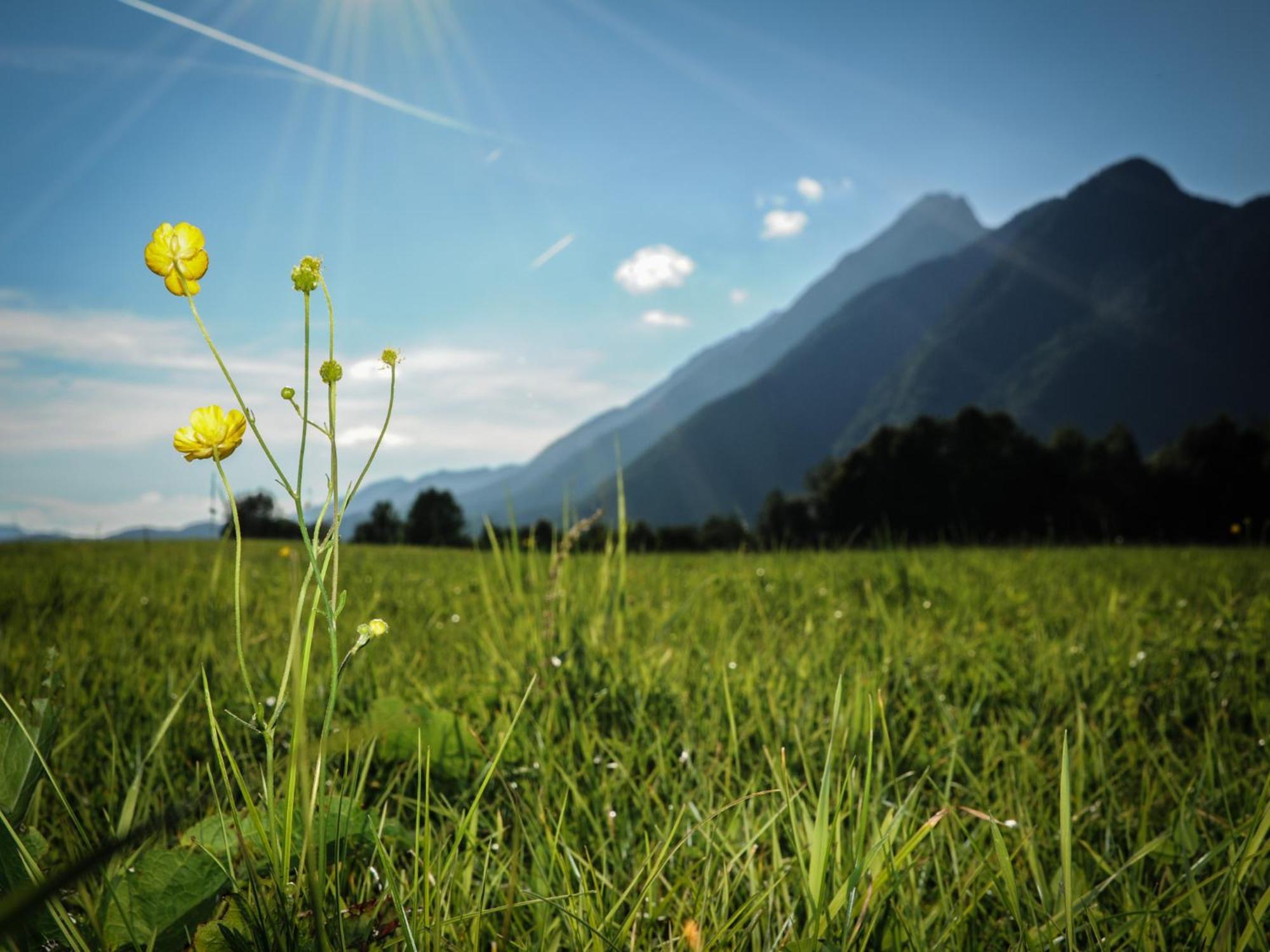 Gasthof Steinerwirt กรอสค์ไมน์ ภายนอก รูปภาพ