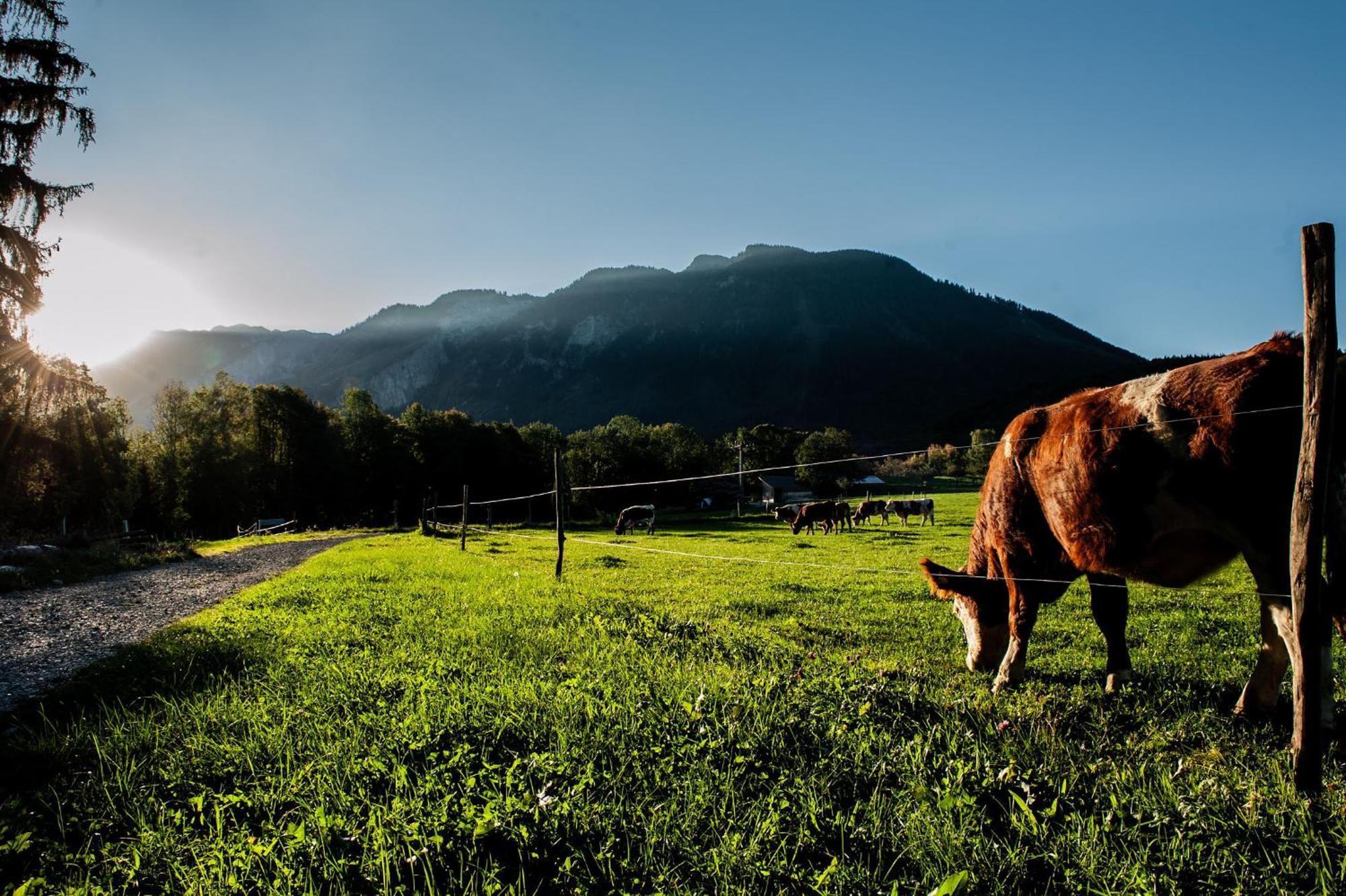 Gasthof Steinerwirt กรอสค์ไมน์ ภายนอก รูปภาพ